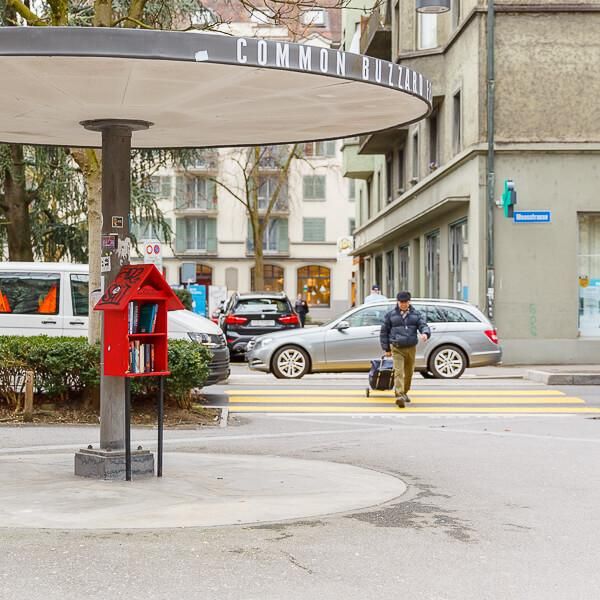 Bücherfenster – Helvetiagärtli