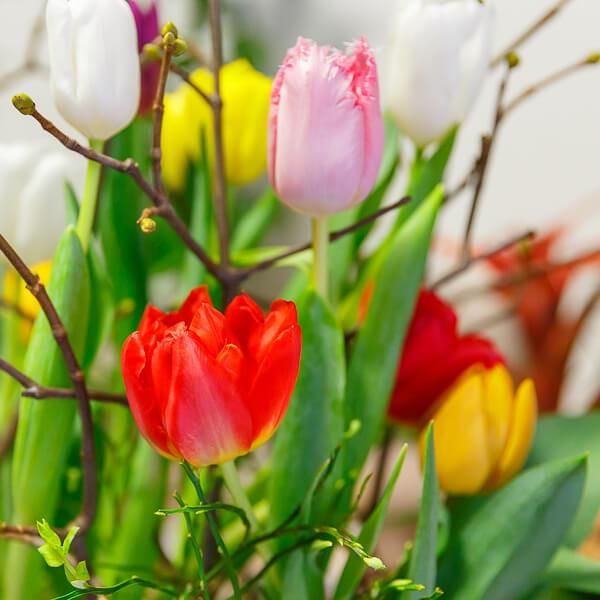 floral design – Tulpengesteck 